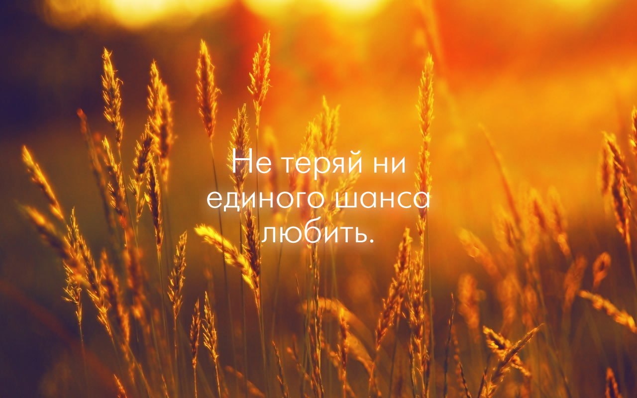 Почему любовь к другим - это навык, который нам жизненно необходим